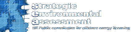 Strategic Environment Assessment